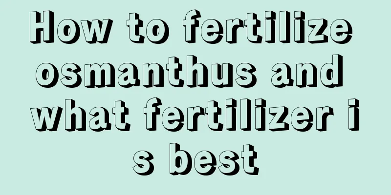 How to fertilize osmanthus and what fertilizer is best