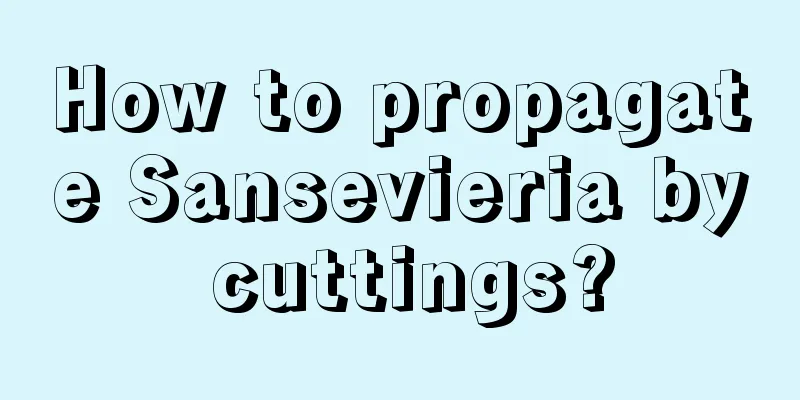 How to propagate Sansevieria by cuttings?