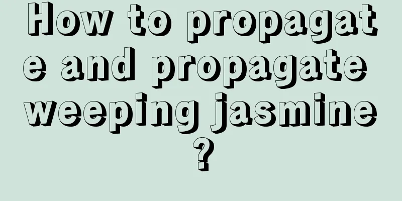 How to propagate and propagate weeping jasmine?