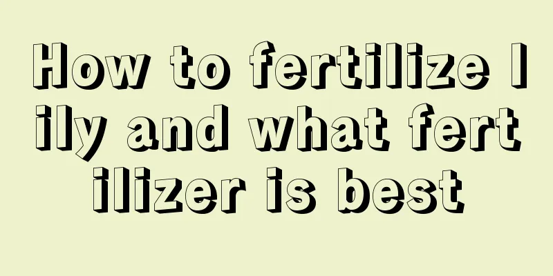 How to fertilize lily and what fertilizer is best