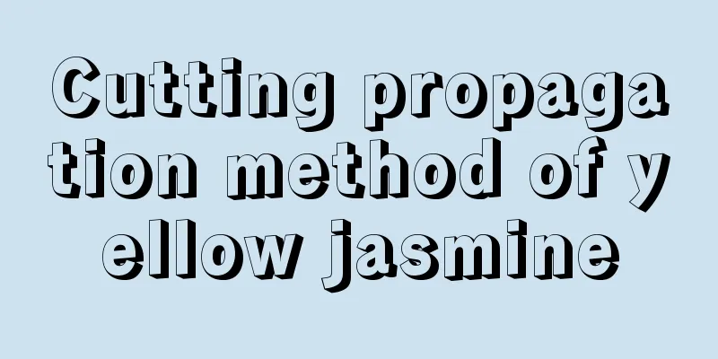 Cutting propagation method of yellow jasmine