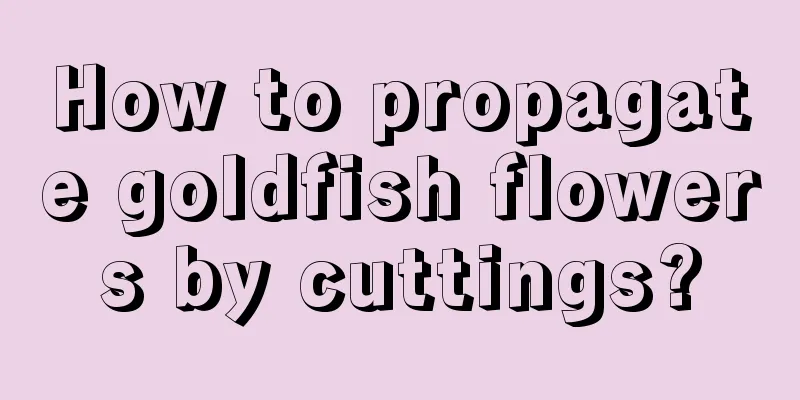 How to propagate goldfish flowers by cuttings?