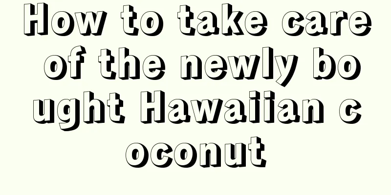 How to take care of the newly bought Hawaiian coconut