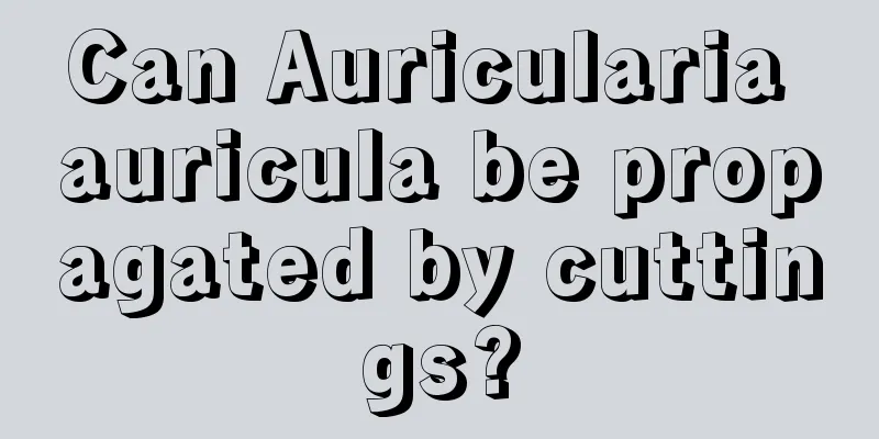 Can Auricularia auricula be propagated by cuttings?