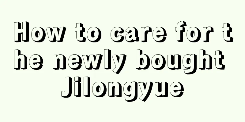 How to care for the newly bought Jilongyue