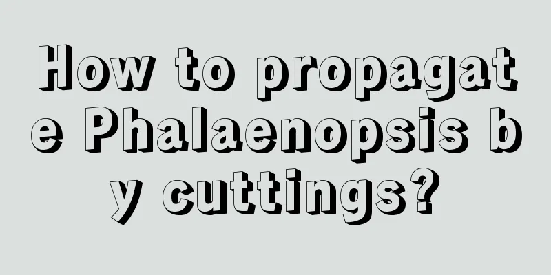 How to propagate Phalaenopsis by cuttings?