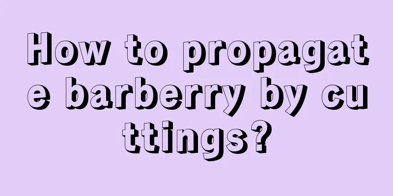 How to propagate barberry by cuttings?