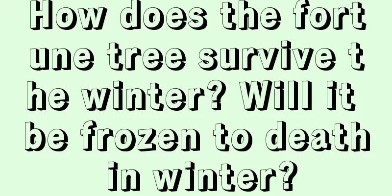 How does the fortune tree survive the winter? Will it be frozen to death in winter?