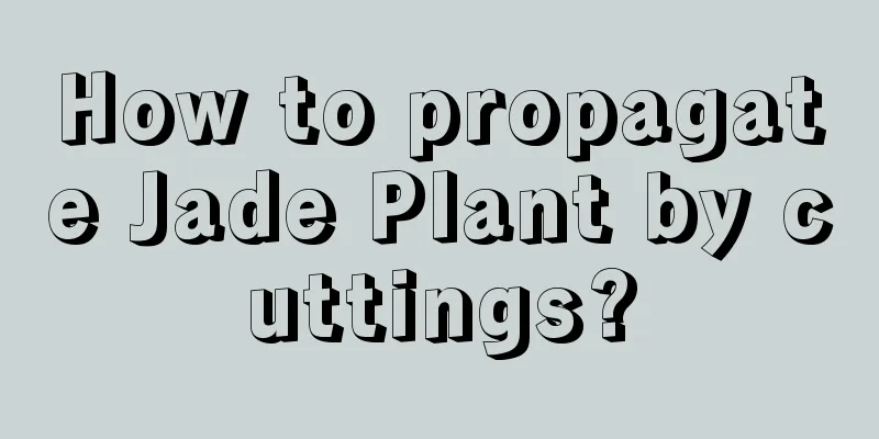 How to propagate Jade Plant by cuttings?