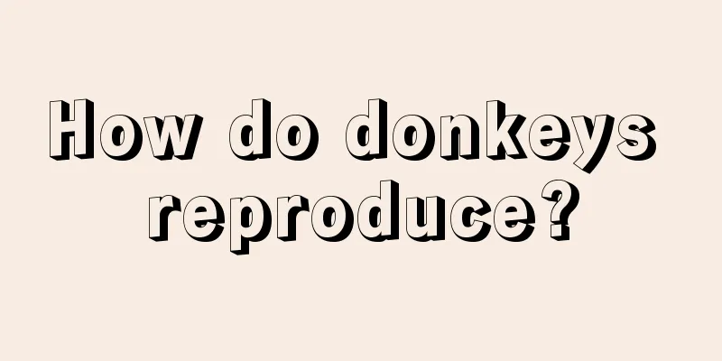 How do donkeys reproduce?