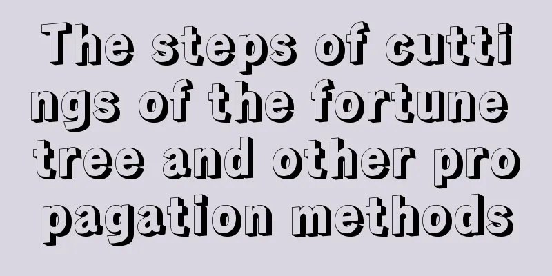 The steps of cuttings of the fortune tree and other propagation methods