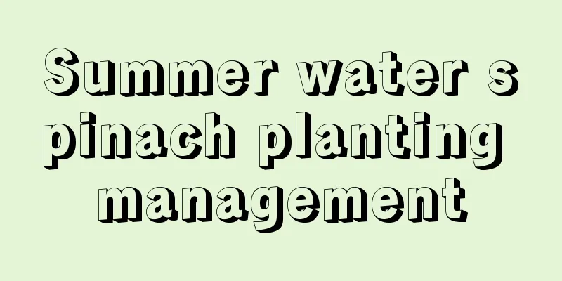 Summer water spinach planting management