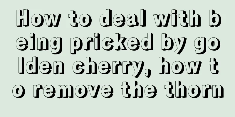 How to deal with being pricked by golden cherry, how to remove the thorn