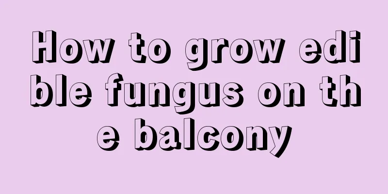 How to grow edible fungus on the balcony