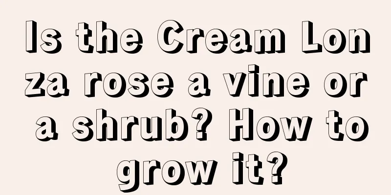 Is the Cream Lonza rose a vine or a shrub? How to grow it?