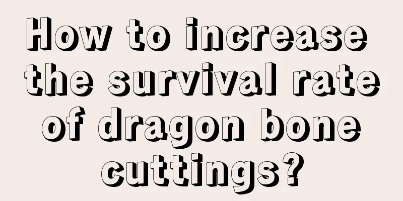 How to increase the survival rate of dragon bone cuttings?