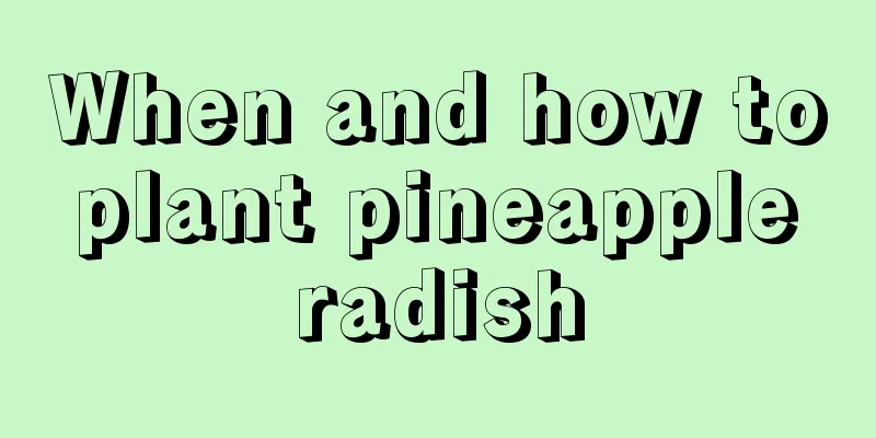 When and how to plant pineapple radish