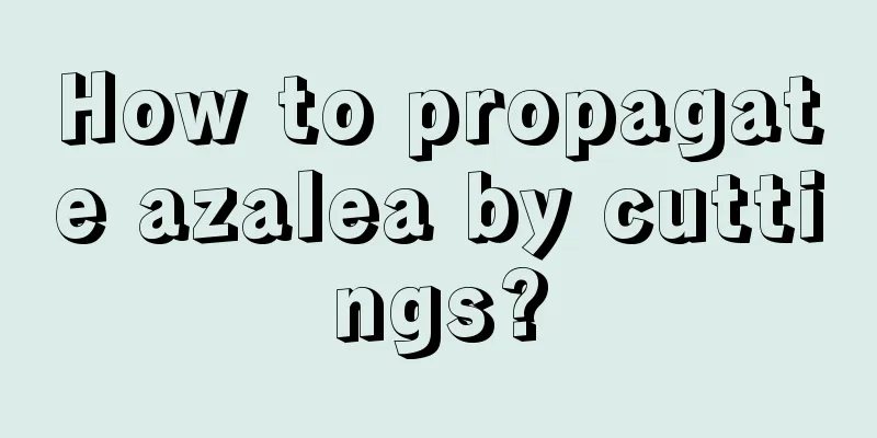 How to propagate azalea by cuttings?