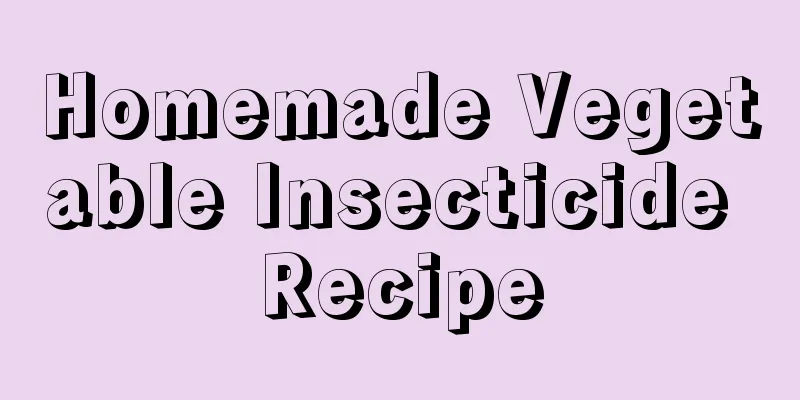 Homemade Vegetable Insecticide Recipe