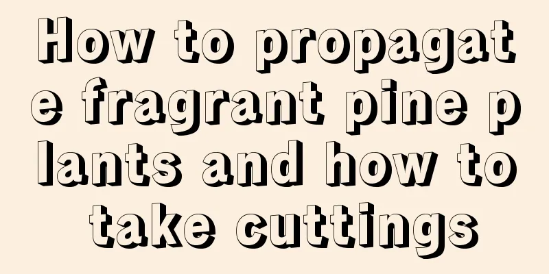 How to propagate fragrant pine plants and how to take cuttings