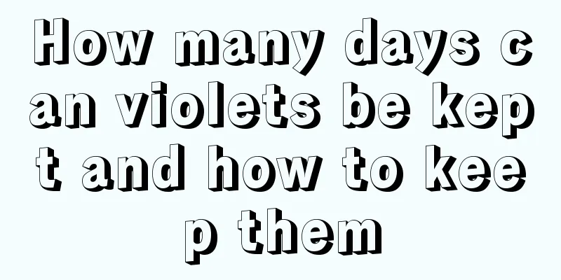 How many days can violets be kept and how to keep them