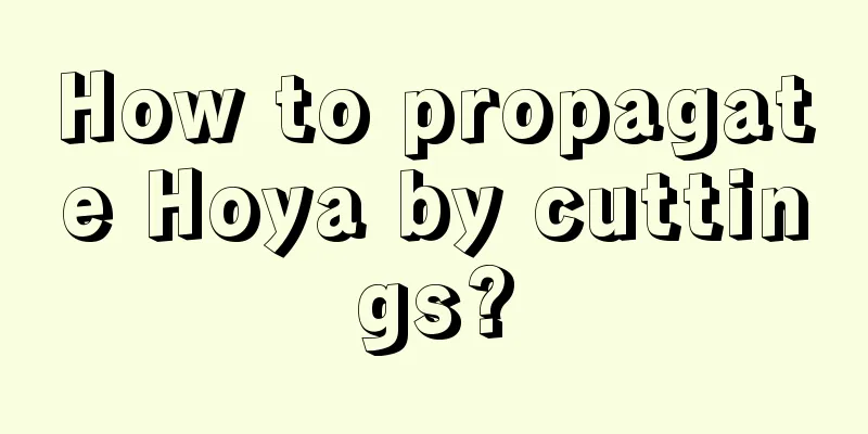 How to propagate Hoya by cuttings?