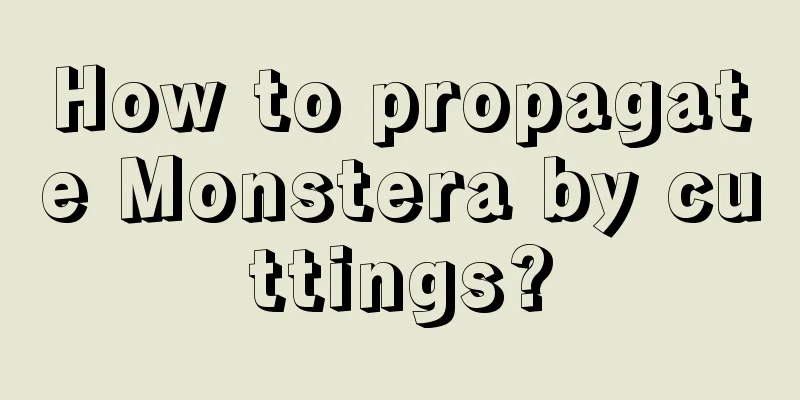 How to propagate Monstera by cuttings?