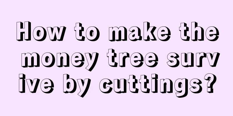 How to make the money tree survive by cuttings?