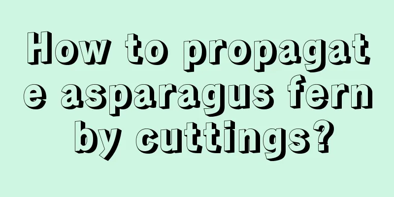 How to propagate asparagus fern by cuttings?