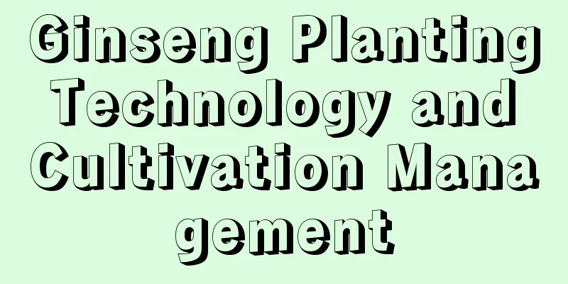 Ginseng Planting Technology and Cultivation Management