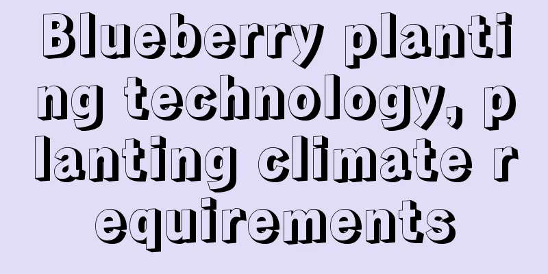 Blueberry planting technology, planting climate requirements