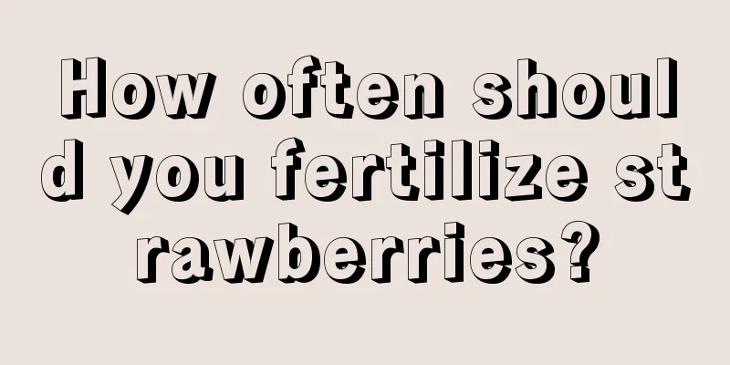 How often should you fertilize strawberries?