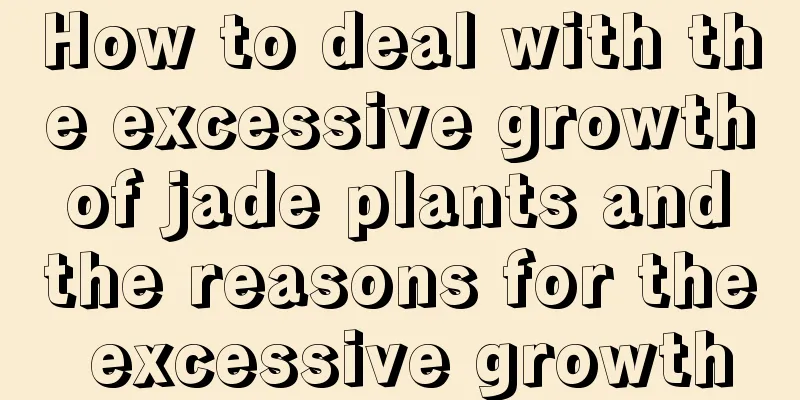 How to deal with the excessive growth of jade plants and the reasons for the excessive growth