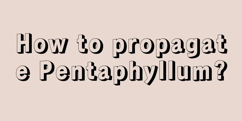 How to propagate Pentaphyllum?