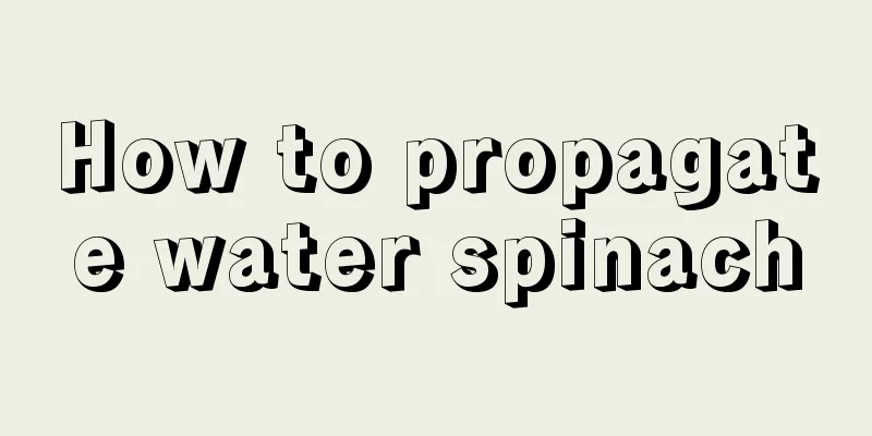 How to propagate water spinach