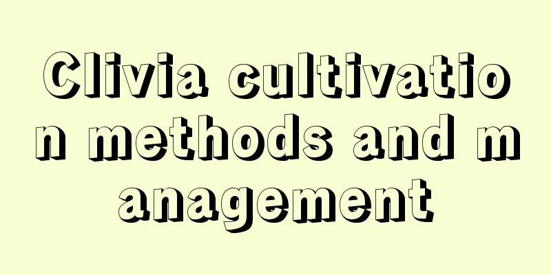 Clivia cultivation methods and management