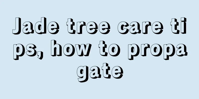 Jade tree care tips, how to propagate