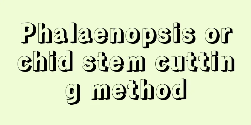 Phalaenopsis orchid stem cutting method