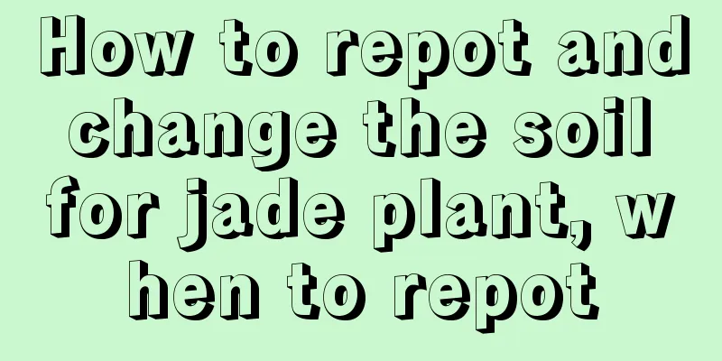 How to repot and change the soil for jade plant, when to repot