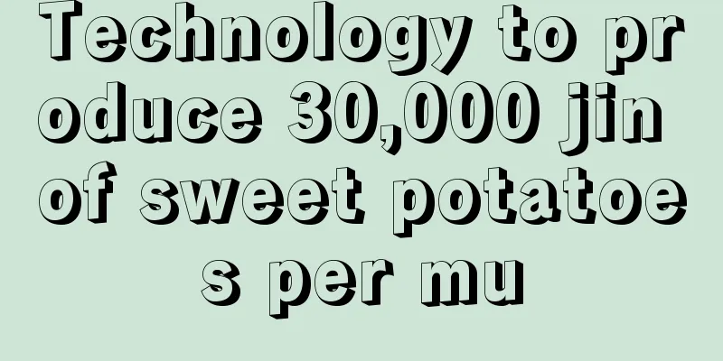 Technology to produce 30,000 jin of sweet potatoes per mu