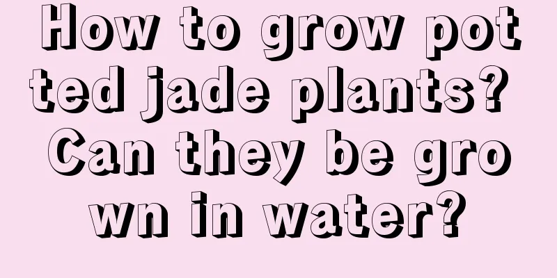 How to grow potted jade plants? Can they be grown in water?