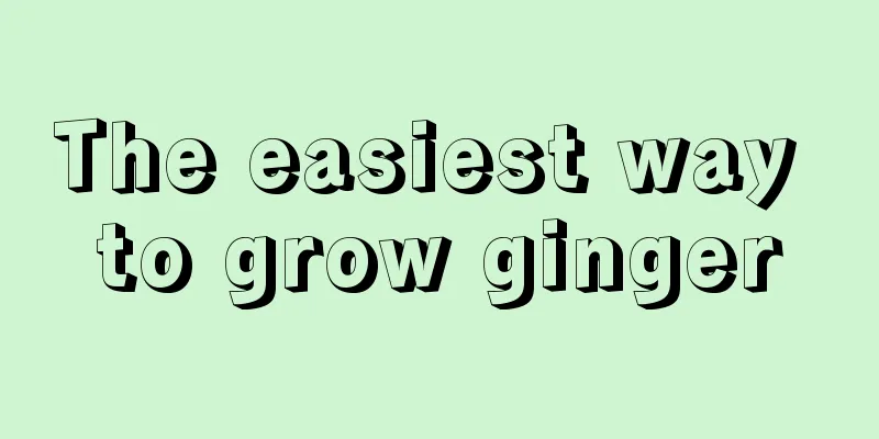 The easiest way to grow ginger