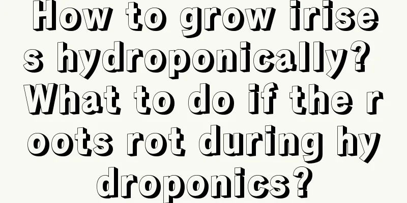 How to grow irises hydroponically? What to do if the roots rot during hydroponics?