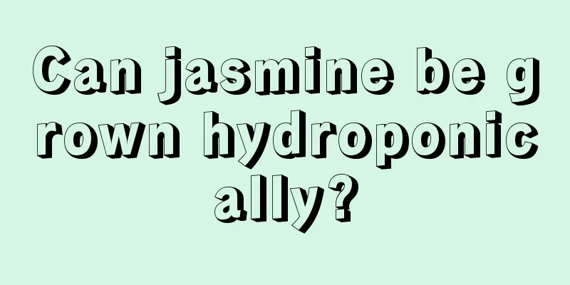 Can jasmine be grown hydroponically?