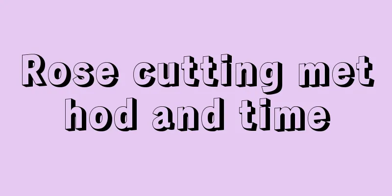 Rose cutting method and time