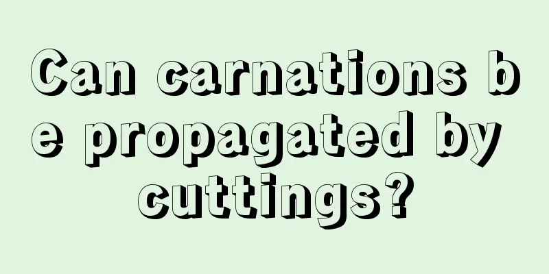 Can carnations be propagated by cuttings?