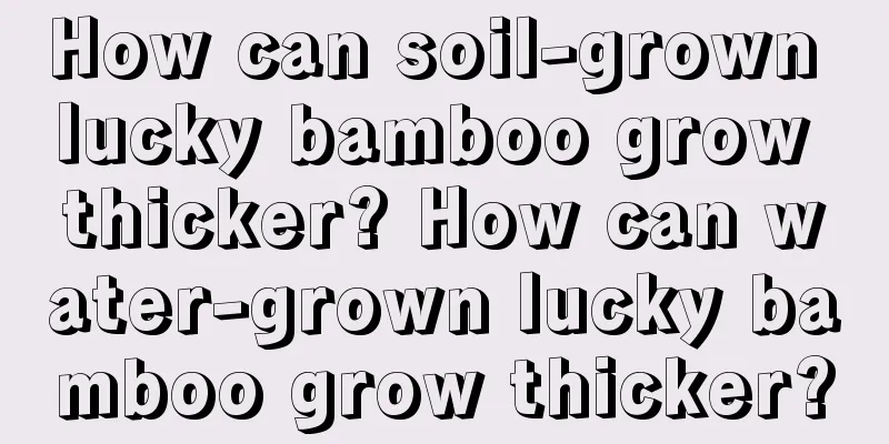 How can soil-grown lucky bamboo grow thicker? How can water-grown lucky bamboo grow thicker?