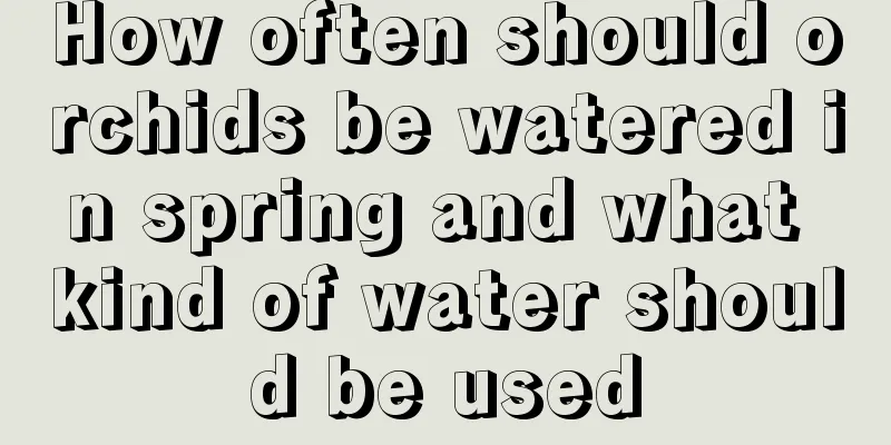 How often should orchids be watered in spring and what kind of water should be used