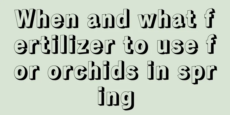 When and what fertilizer to use for orchids in spring