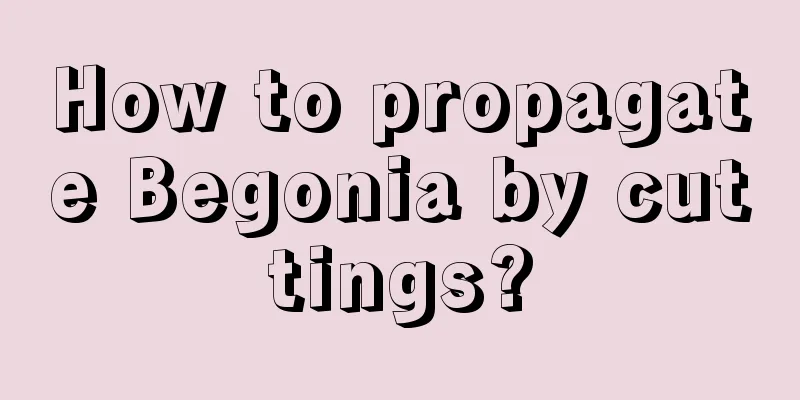 How to propagate Begonia by cuttings?